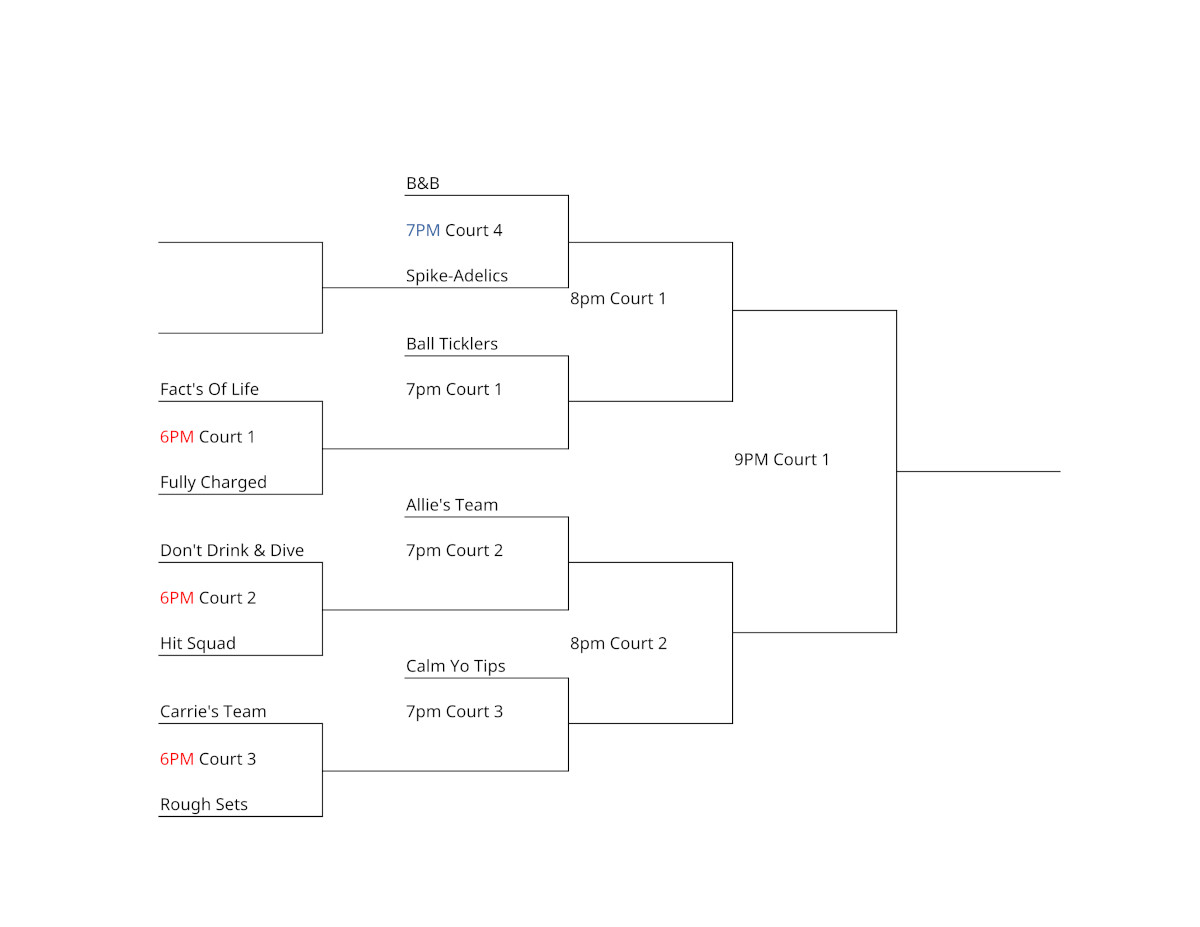 Fall 2024 volleyball tournament